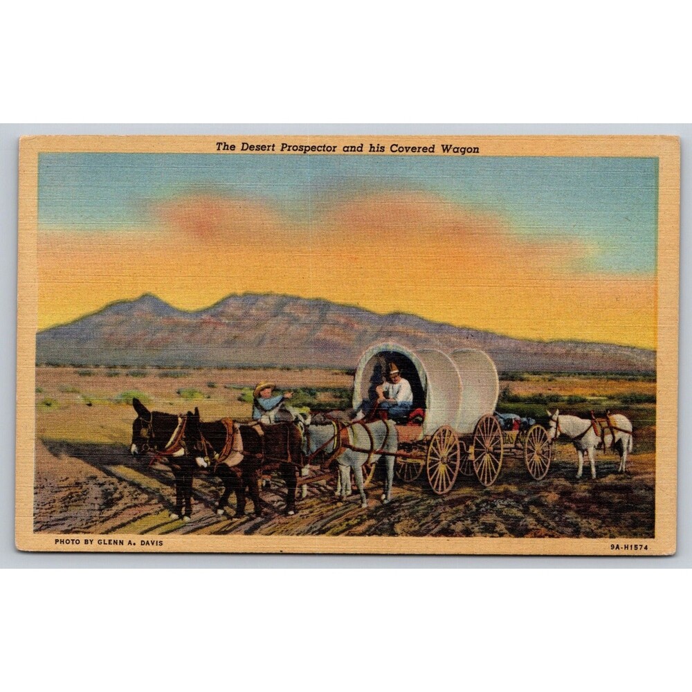 Postcard Desert Prospector & his Covered Wagon Burros Linen c1940s Unposted READ